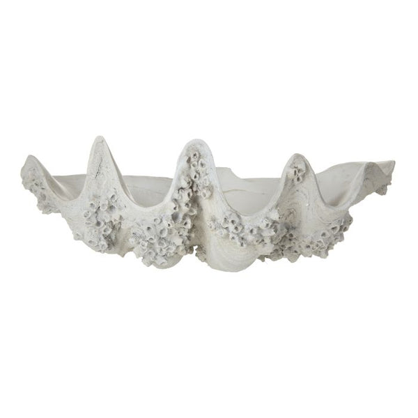 Rogue / Seychelles Clam Vessel - Antique White