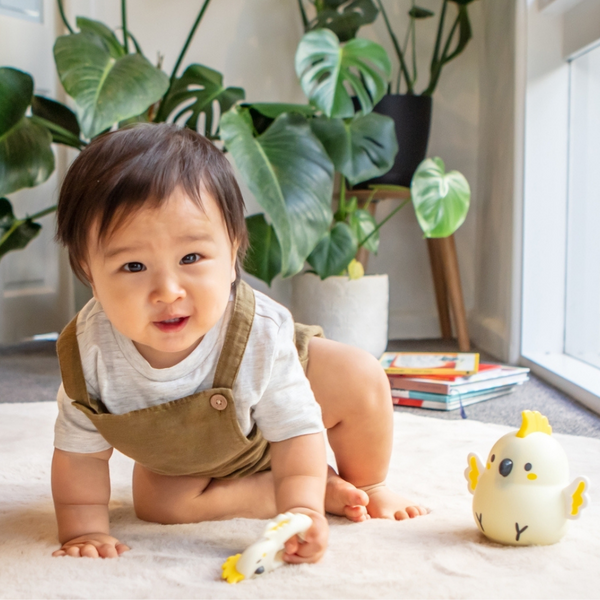 Tiger Tribe / Silicone Teether - Cockatoo